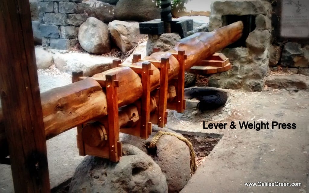 A lever and weight press to squeeze the oil out of the olives. (Photo: Galilee Green)