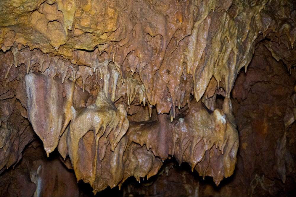 The active stalactites in the cave. (Photo: Shmuel Magal/ IAA)