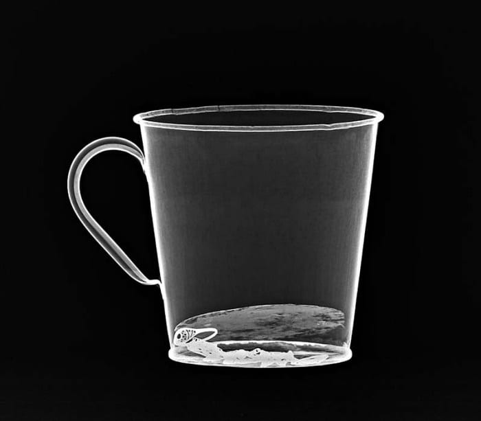 An X-ray of the Auschwitz mug with gold ring (Photo: JNi Media)