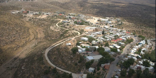 The hills of the Negev (Photo: OR Movement)