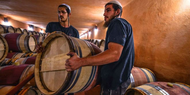 Winemakers in Israel. (Photo: Aviram Valdman/ The Israel Project/Facebook)