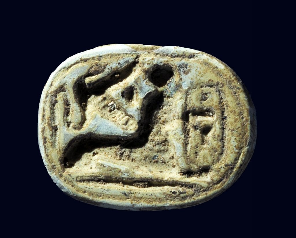 A scarab seal of the Egyptian pharaoh Thutmose III. A sphinx is crouching near the pharaoh’s name. (Photo: Clara Amit/ Israel Antiquities Authority)