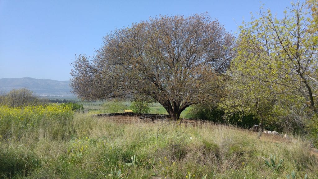 jordan river