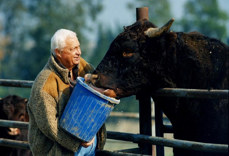 Ariel Sharon on his farm in Israel's Negev. (Photo: Facebook)